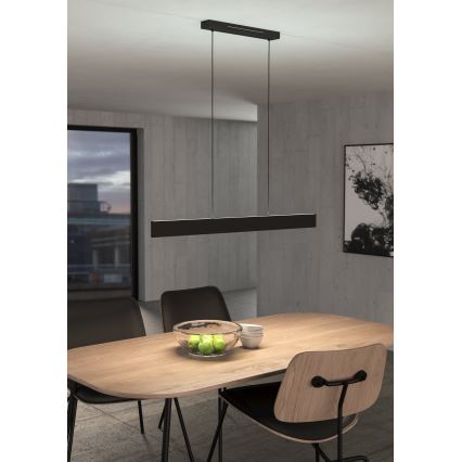 Eglo - LED RGBW Stmívatelný lustr na lanku LED/38W/230V 2700-6500K černá