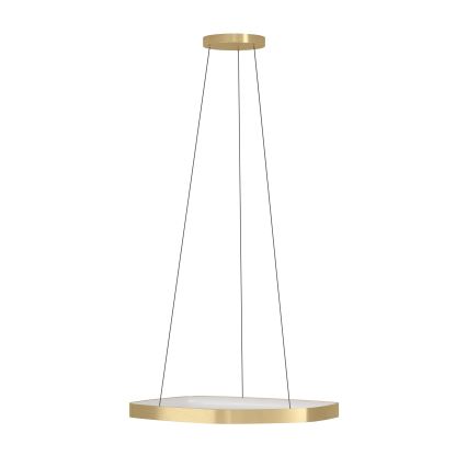 Eglo - LED Stmívatelný lustr na lanku LED/25,2W/230V