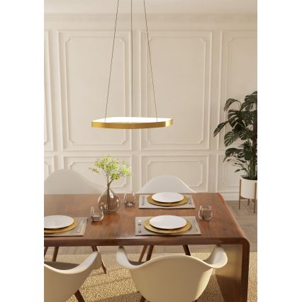 Eglo - LED Stmívatelný lustr na lanku LED/25,2W/230V