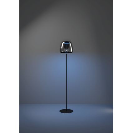 Eglo - LED RGBW Stmívatelná stojací lampa LED/15,5W/230V 2700-6500K kouřová