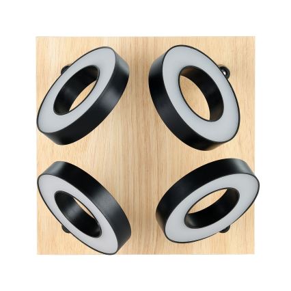 Eglo - LED Bodové svítidlo 4xLED/4,2W/230V černá/hnědá