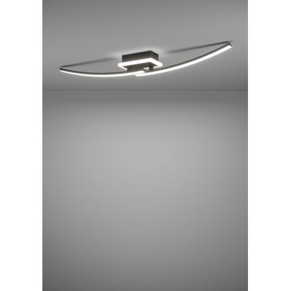 Eglo - LED Stropní svítidlo LED/12W/230V 4000K černá