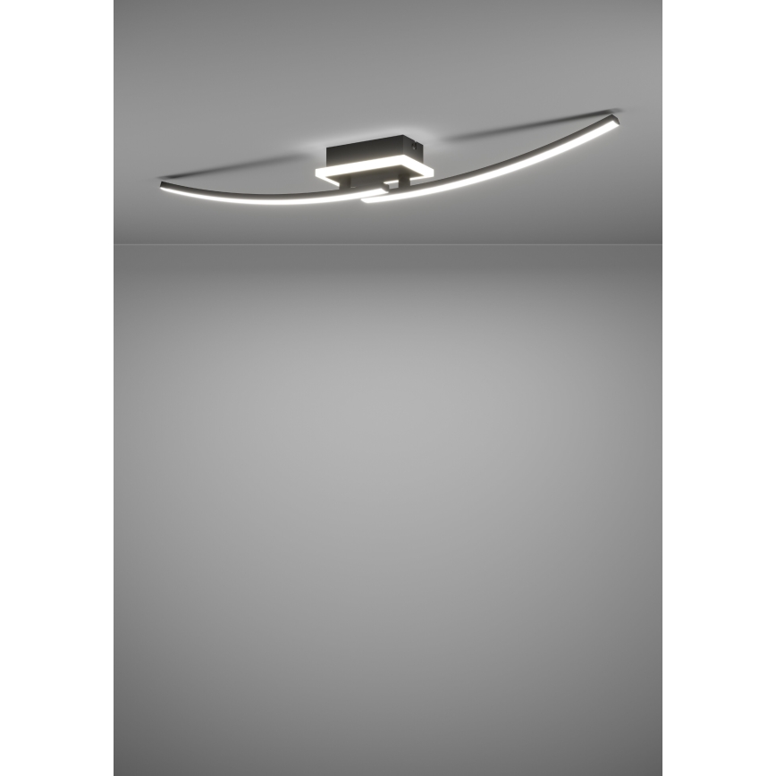 Eglo - LED Stropní svítidlo LED/12W/230V 4000K černá
