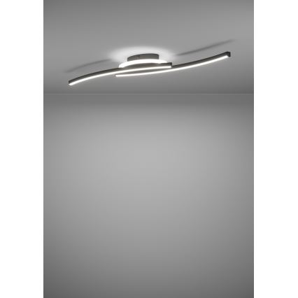 Eglo - LED Stropní svítidlo LED/12W/230V 4000K černá