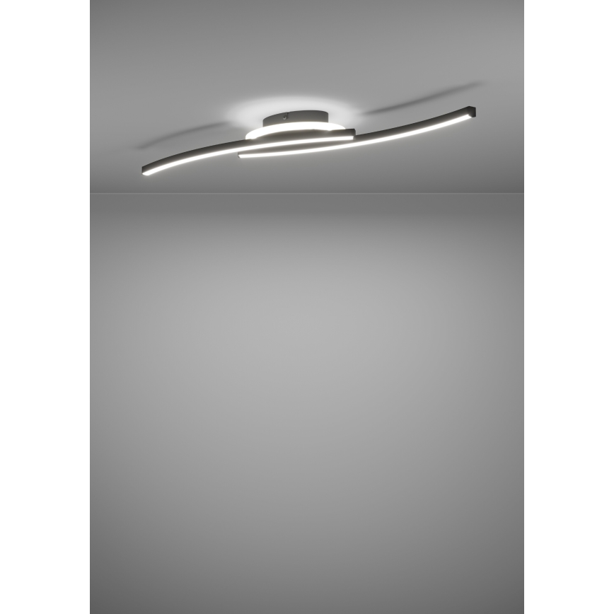 Eglo - LED Stropní svítidlo LED/12W/230V 4000K černá