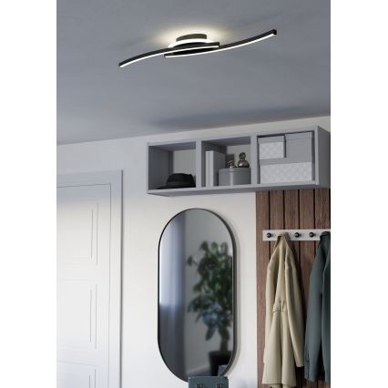 Eglo - LED Stropní svítidlo LED/12W/230V 4000K černá
