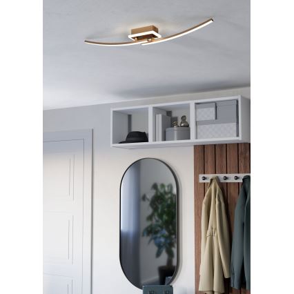 Eglo - LED Stropní svítidlo LED/12W/230V 4000K měděná
