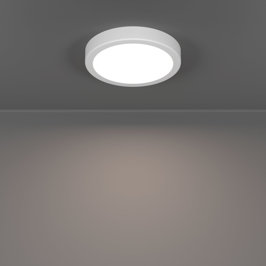 Eglo - LED Stropní svítidlo LED/7,5W/230V 2700/4000/6500K pr. 16,6 cm bílá