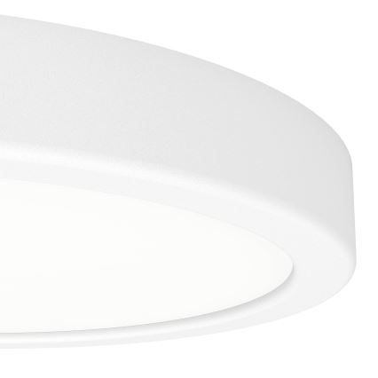 Eglo - LED Stropní svítidlo LED/11,5W/230V 2700/4000/6500K pr. 21,1 cm bílá