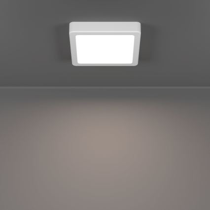 Eglo - LED Stropní svítidlo LED/7W/230V 2700/4000/6500K 15x15 cm bílá