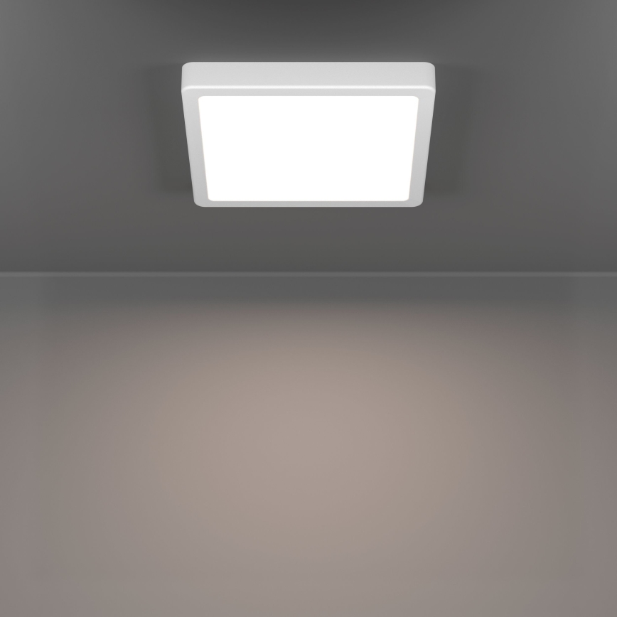 Eglo - LED Stropní svítidlo LED/10,5W/230V 2700/4000/6500K 22x22 cm bílá