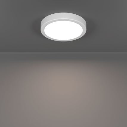 Eglo - LED Koupelnové stropní svítidlo LED/7,5W/230V pr. 16,6 cm IP44 bílá