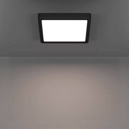 Eglo - LED RGBW Stmívatelné koupelnové stropní svítidlo LED/10,5W/230V 2700-6500K 22x22 cm IP44 černá
