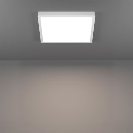 Eglo - LED RGBW Stmívatelné koupelnové stropní svítidlo LED/13,5W/230V 2700-6500K 29,5x29,5 cm IP44 bílá