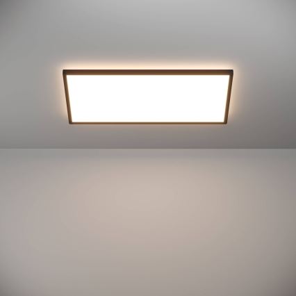 Eglo - LED Koupelnové stropní svítidlo LED/17,2W/230V 2700/4000/6500K 30x57 cm IP44 černá