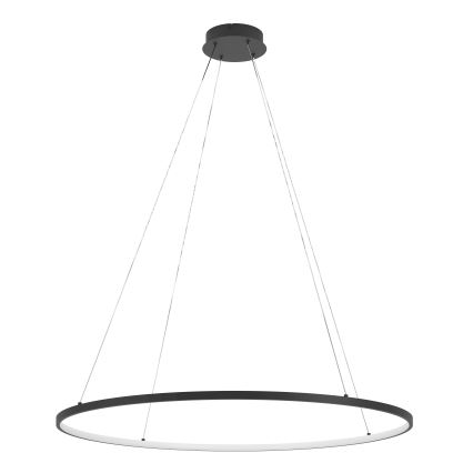 Eglo - LED Stmívatelný lustr na lanku LED/40W/230V 2700-6500K černá + dálkové ovládání