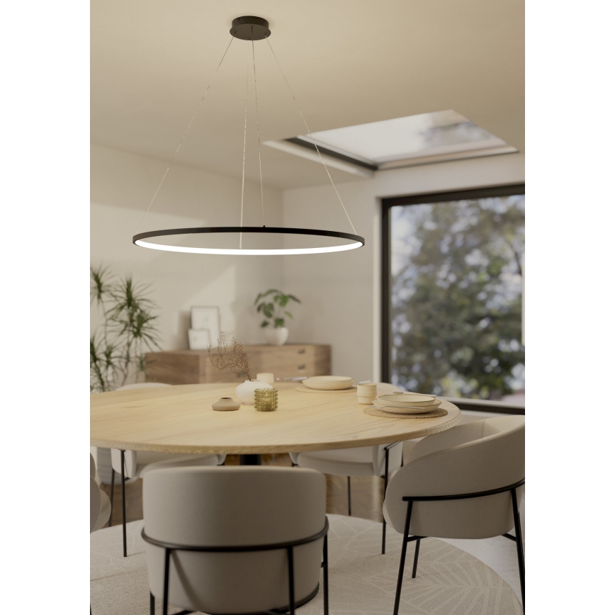 Eglo - LED Stmívatelný lustr na lanku LED/40W/230V 2700-6500K černá + dálkové ovládání