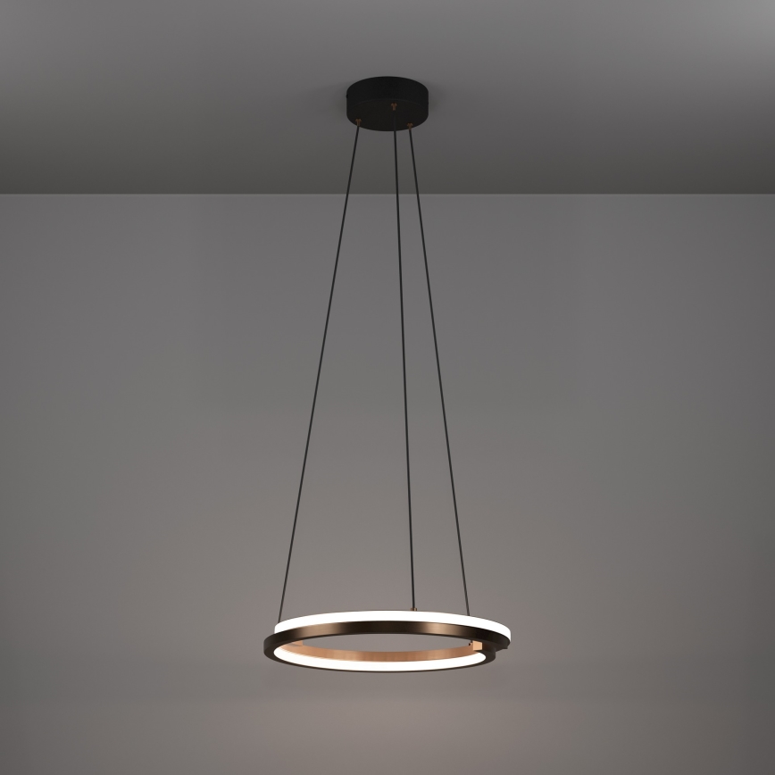 Eglo - LED Stmívatelný lustr na lanku 2xLED/20W/230V 2700-6500K pr. 48 cm bronzová + dálkové ovládání