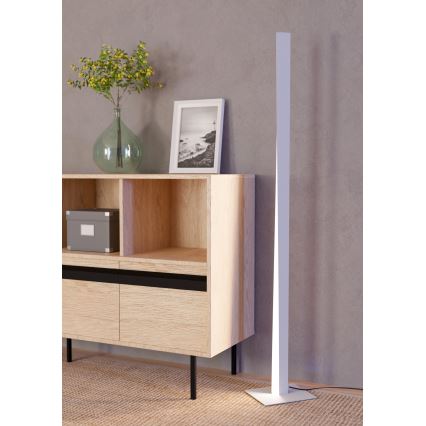 Eglo - LED RGBW Stmívatelná stojací lampa LED/10,5W/230V + LED/15,2W 2700-6500K šedá