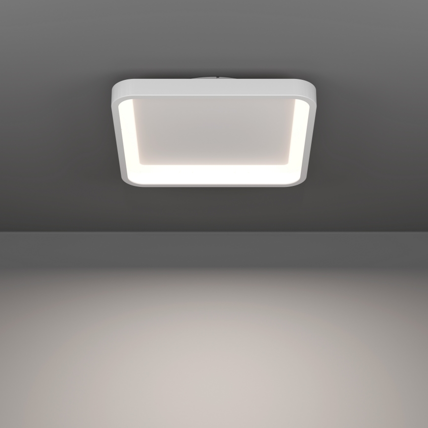 Eglo - LED RGBW Stmívatelné stropní svítidlo LED/20W/230V 2700-6500K 35x35 cm bílá