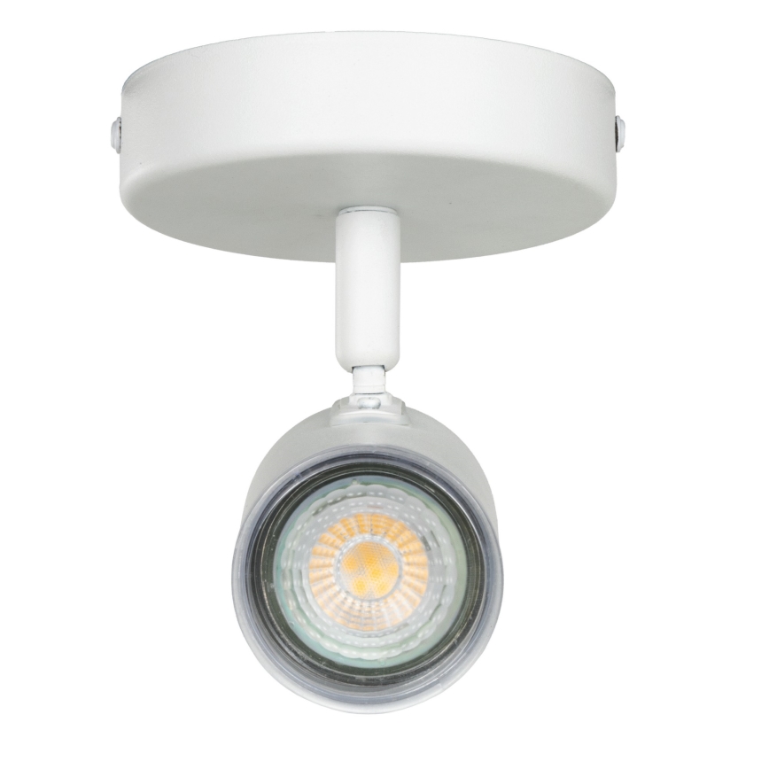 Eglo - Koupelnové nástěnné bodové svítidlo 1xGU10/5W/230V IP44 bílá