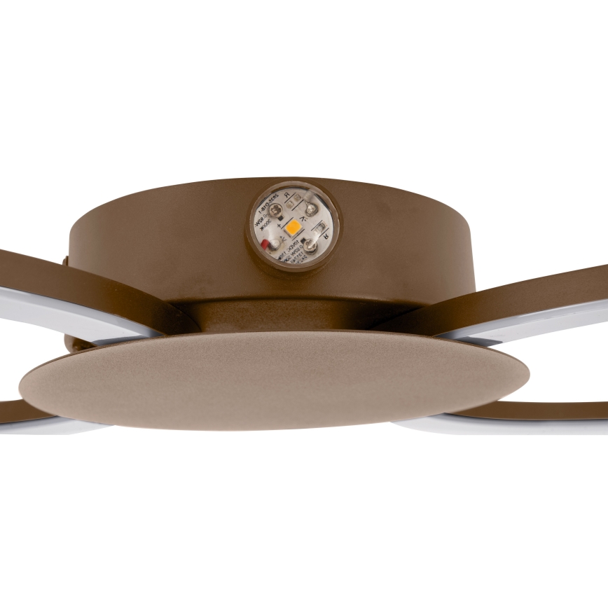 Eglo - LED Nástěnné svítidlo LED/20W/230V + LED/0,91W béžová