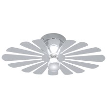 EGLO 91199 - Nástěnné stropní svítidlo BANTRY 1xE14/40W