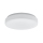 Eglo 93639 - LED stropní svítidlo BERAMO LED/12W/230V