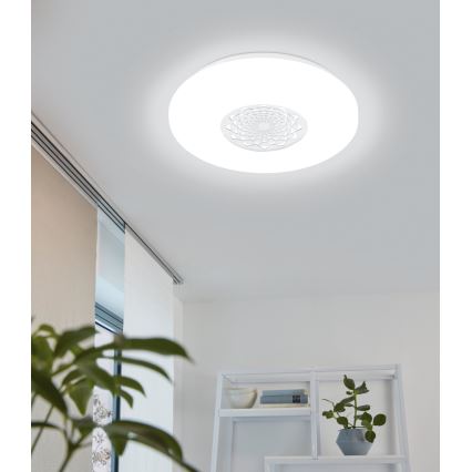 Eglo - LED stropní svítidlo LED/24W/230V