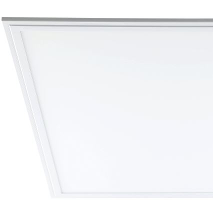 Eglo - LED stropní panel LED/40W/230V