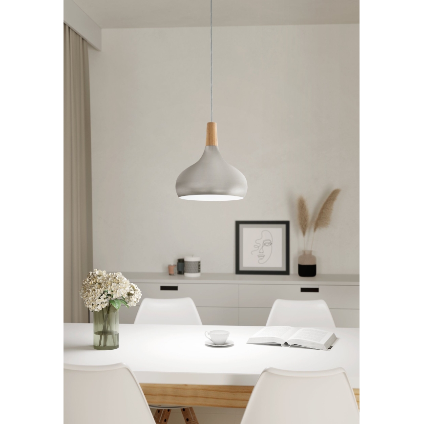 Eglo - Závěsné svítidlo 1xE27/60W/230V pr. 28 cm stříbrná
