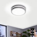Eglo 97299 - LED Stmívatelné koupelnové svítidlo LOCANA-C LED/14W stříbrná IP44