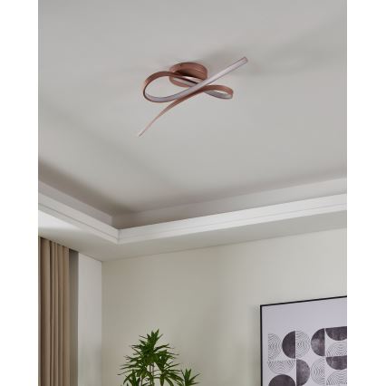 Eglo - LED Přisazený lustr 2xLED/11W/230V