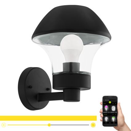 Eglo 97446 - LED Stmívatelné venkovní nástěnné svítidlo VERLUCCA-C 1xE27/9W/230V IP44 Bluetooth