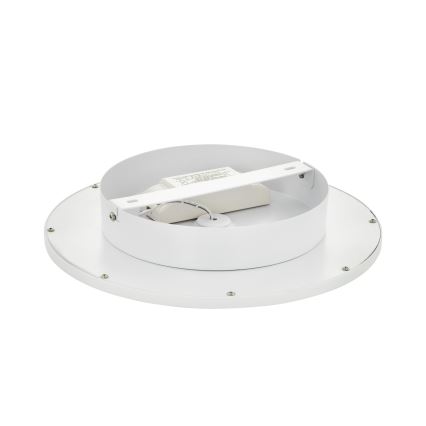 Eglo - LED Stmívatelné stropní svítidlo 1xLED/17W/230V