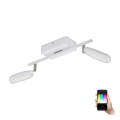 Eglo 97692 - LED RGB Bodové svítidlo PALOMBARE-C 2xLED/5W/230V