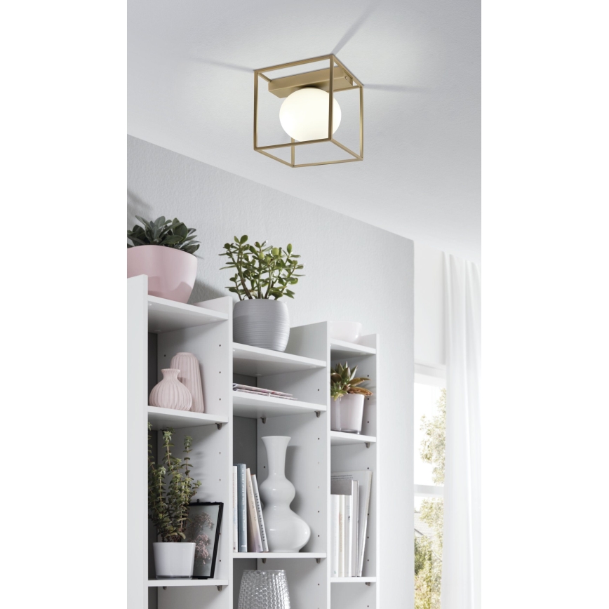 Eglo - Přisazený lustr 1xE14/40W/230V