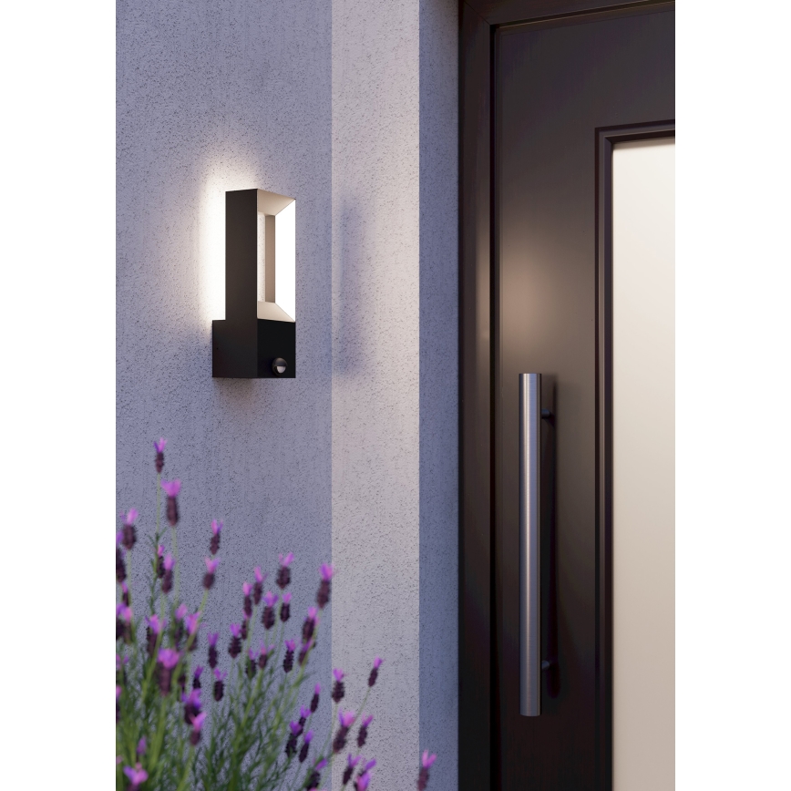 Eglo - LED Venkovní svítidlo se senzorem 2xLED/5W/230V IP44