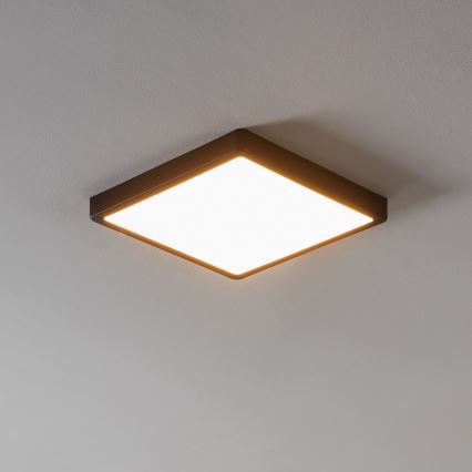 Eglo - LED Stmívatelné koupelnové svítidlo LED/19,5W/230V IP44 ZigBee