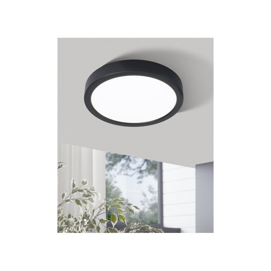 Eglo - LED Stropní svítidlo LED/20W/230V