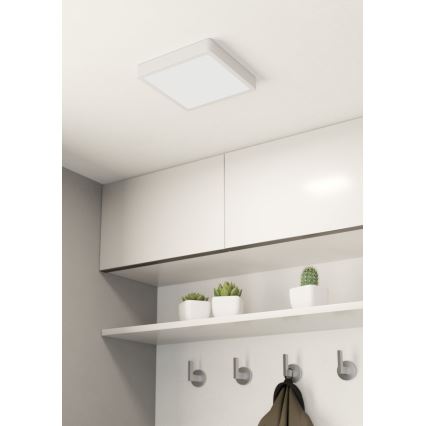 Eglo - LED Stropní svítidlo LED/16,5W/230V