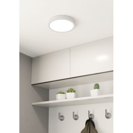 Eglo - LED Stmívatelné stropní svítidlo LED/16,5W/230V