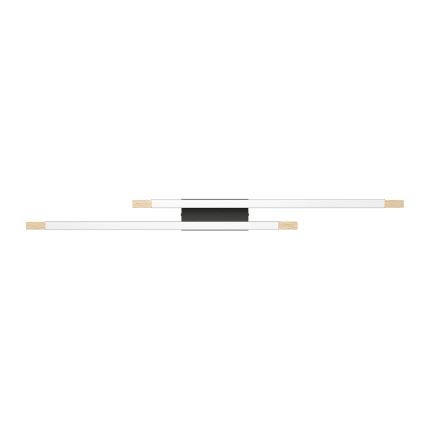 Eglo - LED Stmívatelné stropní svítidlo 2xLED/10W/230V