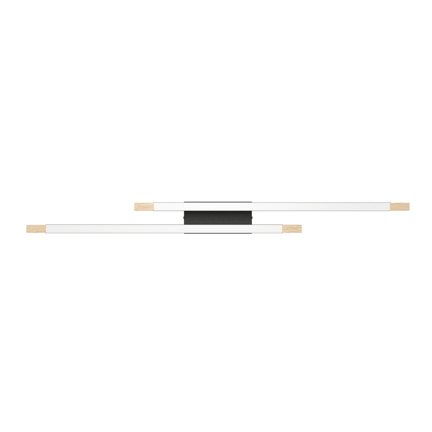 Eglo - LED Stmívatelné stropní svítidlo 2xLED/10W/230V
