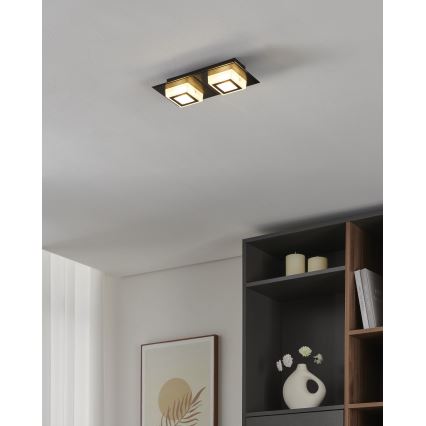 Eglo 99362 - LED Stropní svítidlo MASIANO 2xLED/3,3W/230V