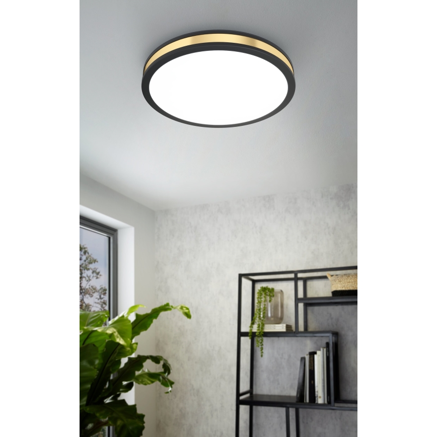 Eglo - LED Stropní svítidlo LED/24W/230V