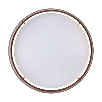 Eglo - LED Stropní svítidlo LED/24W/230V