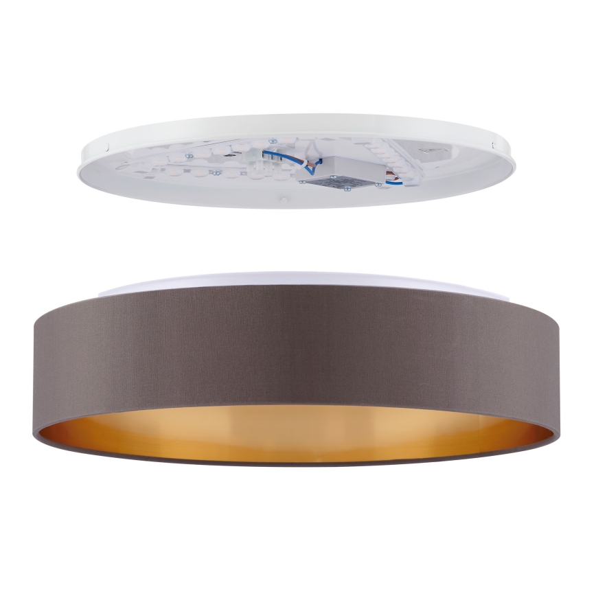 Eglo - LED Stropní svítidlo LED/24W/230V