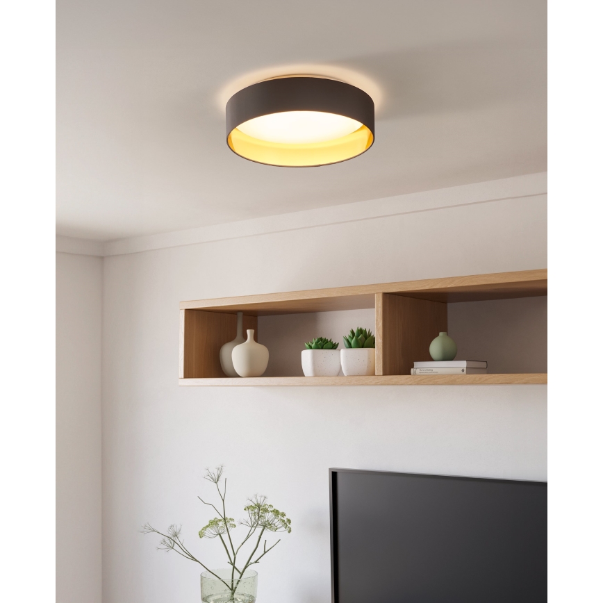 Eglo - LED Stropní svítidlo LED/24W/230V