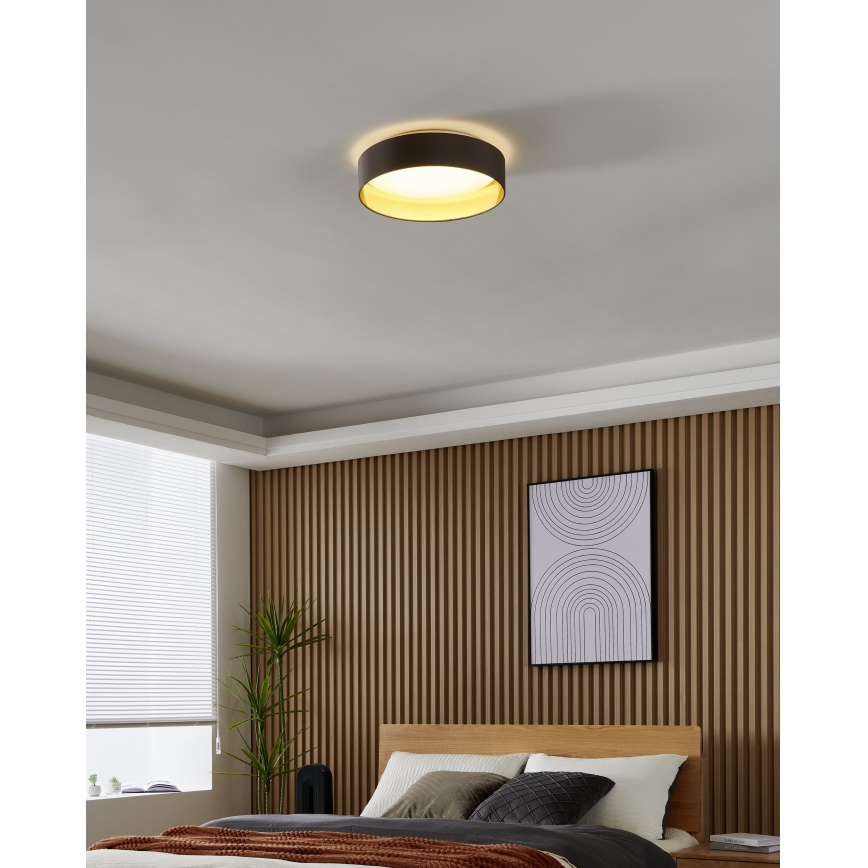 Eglo - LED Stropní svítidlo LED/24W/230V